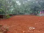 11 cents land behind Airapuram Rubber park with tar road frontage