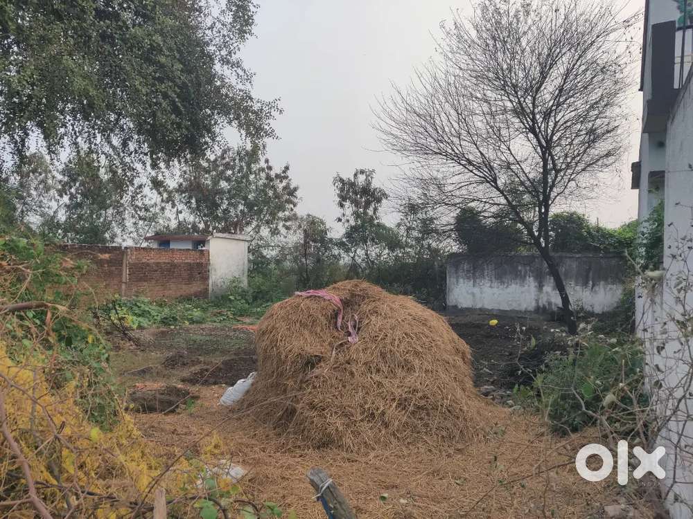 7 dismil plot basti ke andar, pakki sadak se laga – bikau hai