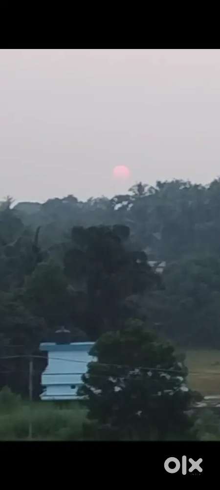 Rowfin Real Estates Pvt Ltd