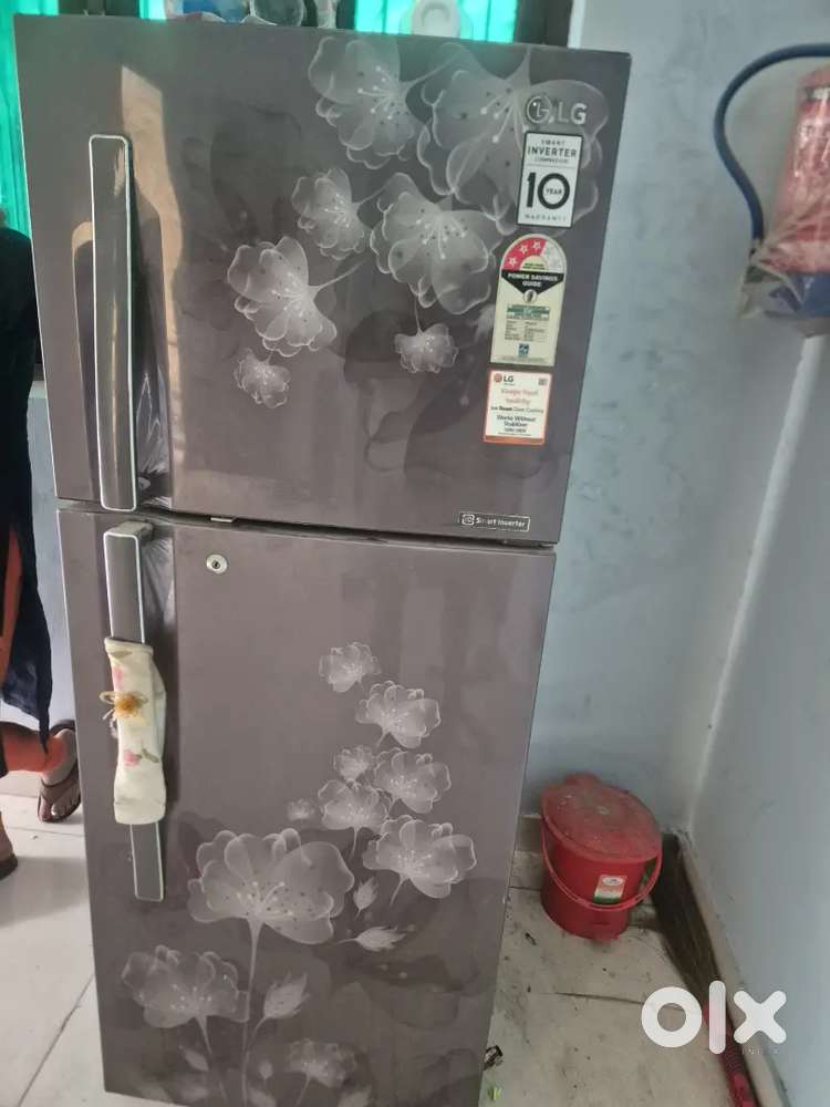 Double-Door Refrigerator