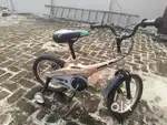 Cycle nacho le liye