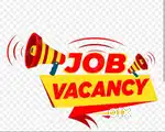 Sales Executive