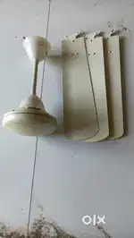 Fans havells