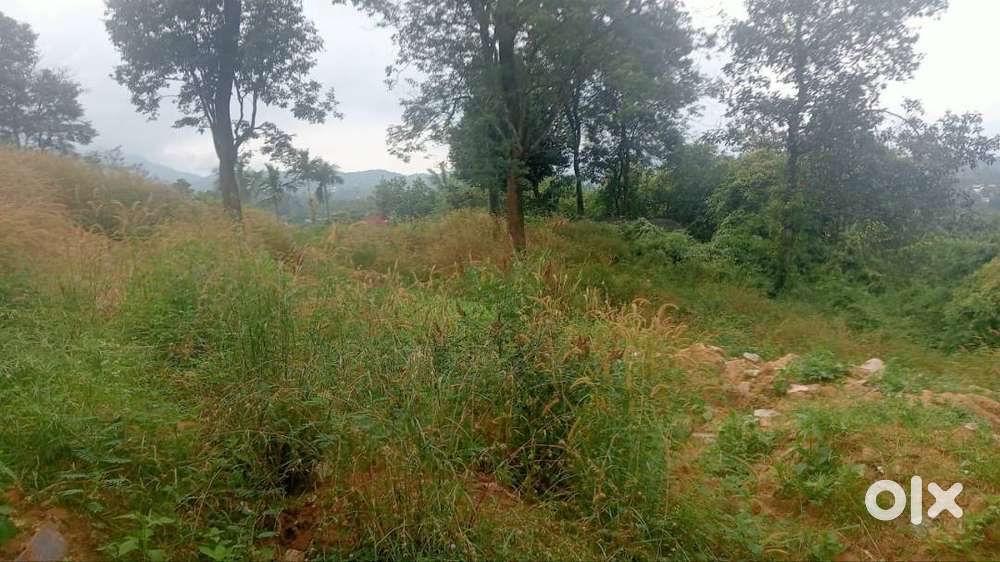91 Cent Plot-Near Myladipara View Point, Kalpetta Wayanad