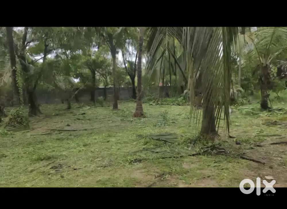 Plot  for  sale Near malpe beach, 11 lakhs per  cent