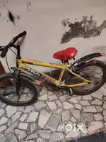 Pro trek new