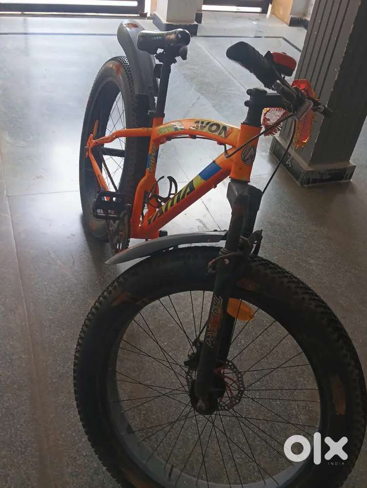 Avon cycle