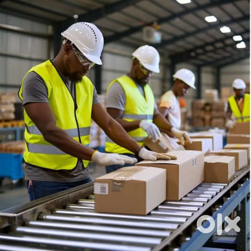 PACKING, HELPER, SCANNING JOB  IN ALLAHABAD LOCATION APPLY NOW