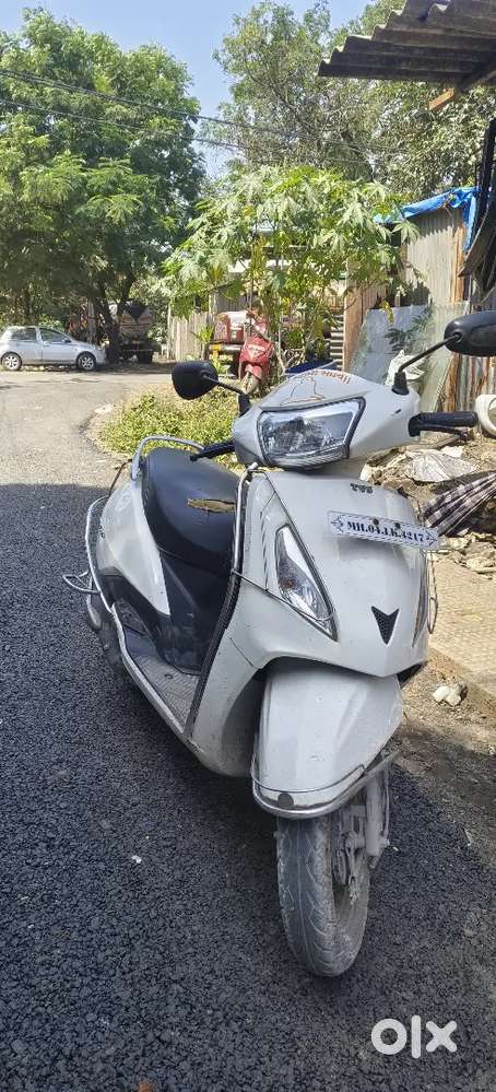 Fresh condition, best avarage, Royal colour white rich colour mentend