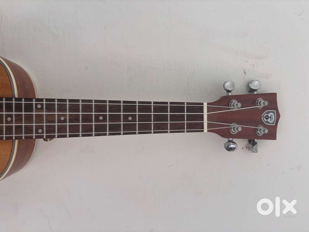 Techno ukulele