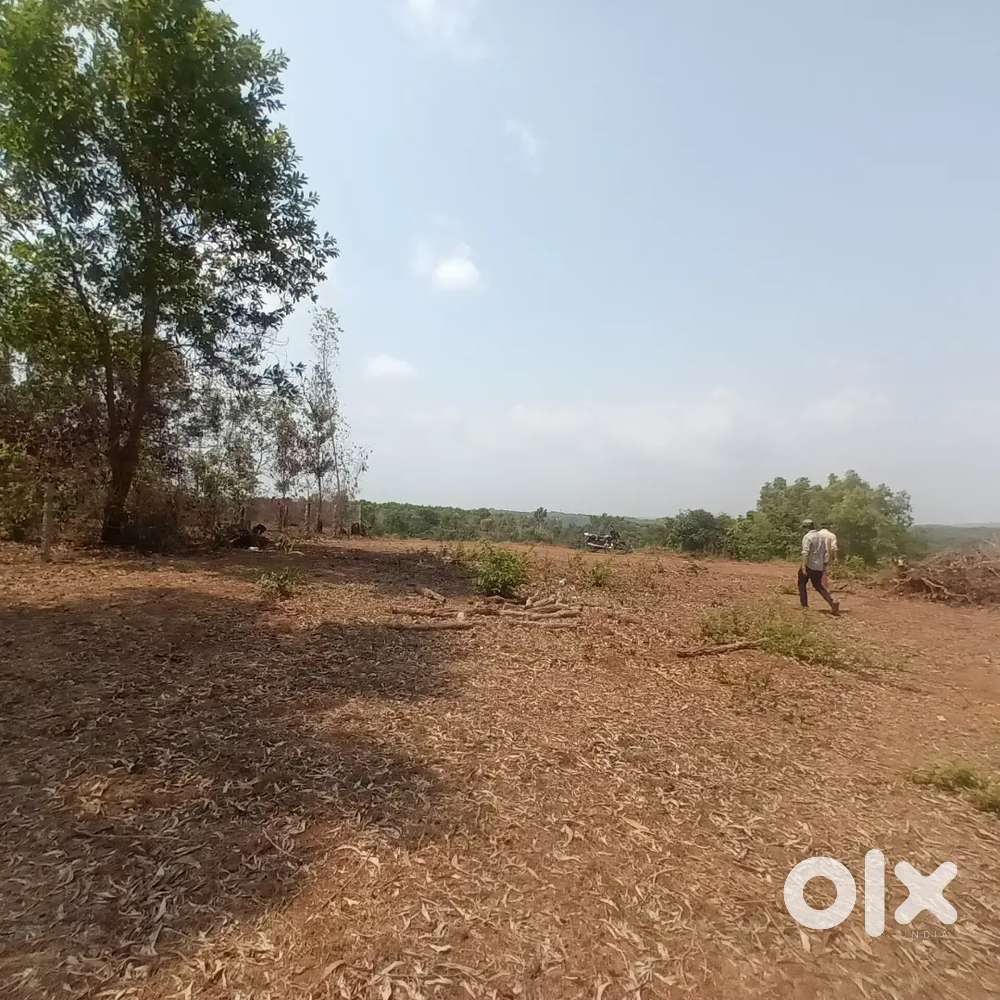 12 acar Layout  plot  majrpalla kasargod  manjeshwaram 18000 per cent