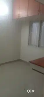 2 bhk flat for rent bachelor  in velachry