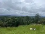 50 CENT VILLA PLOT FOR SALE IN MANANTHAVADY