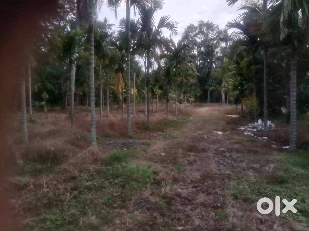 3 Acre 8 Cent plot in Vaikom Kulashekaramangalam