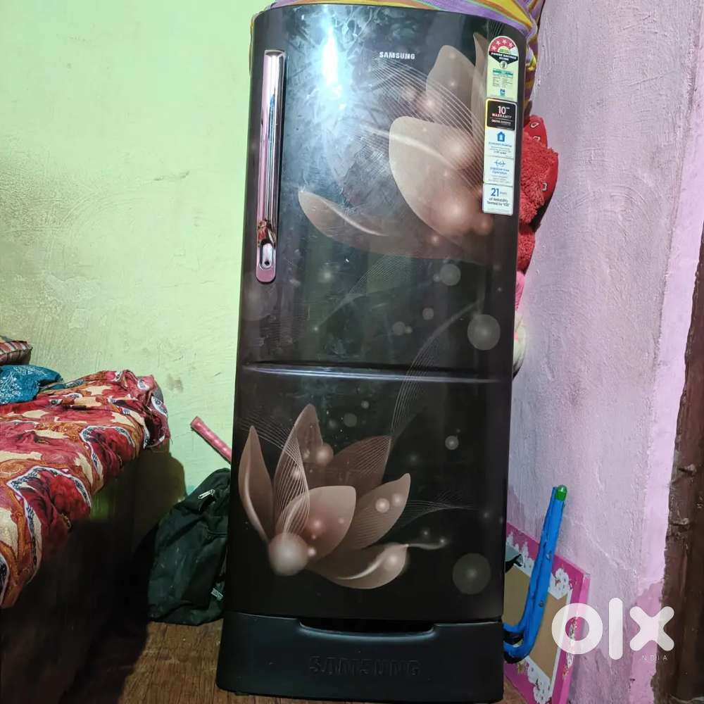 The image shows a Samsung single-door refrigerator