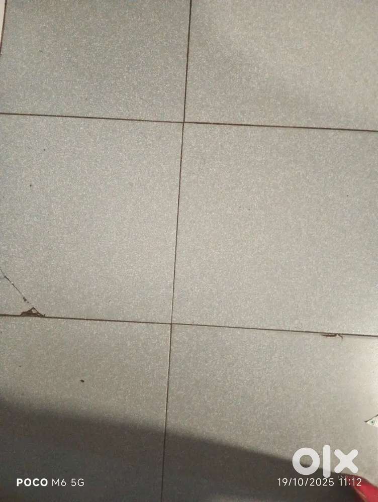 Raghunath pur akta jaiga brikri ache 2.5 moto ache