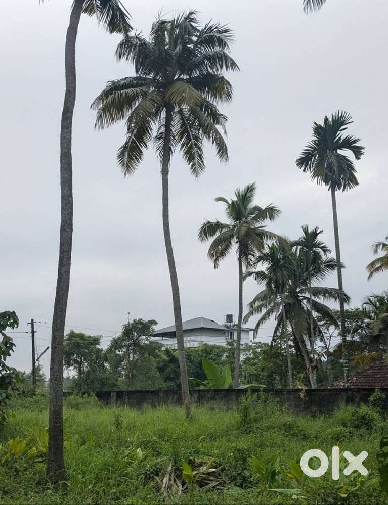10 Cents Original Land for Sale – Irumpanam, Kakkanad