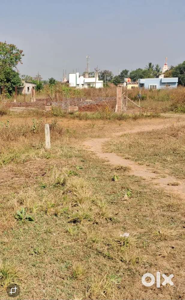 20 gunte sheti plot to sell, yallow zone