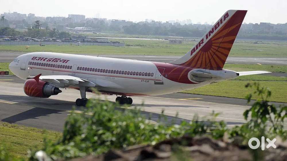 Accountant job in Cargo Warehouse On IGI Airport for Experienced