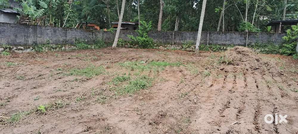 Plot for Sale near Korani, Mangalapuram