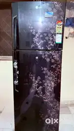 LG Frost Free 260 liters Floral Print Double door 4 star Fridge