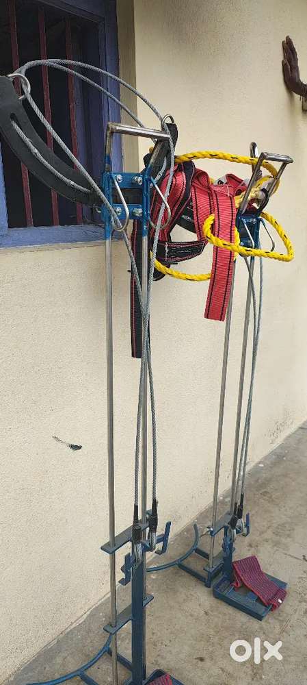 Coconut Tree Climber