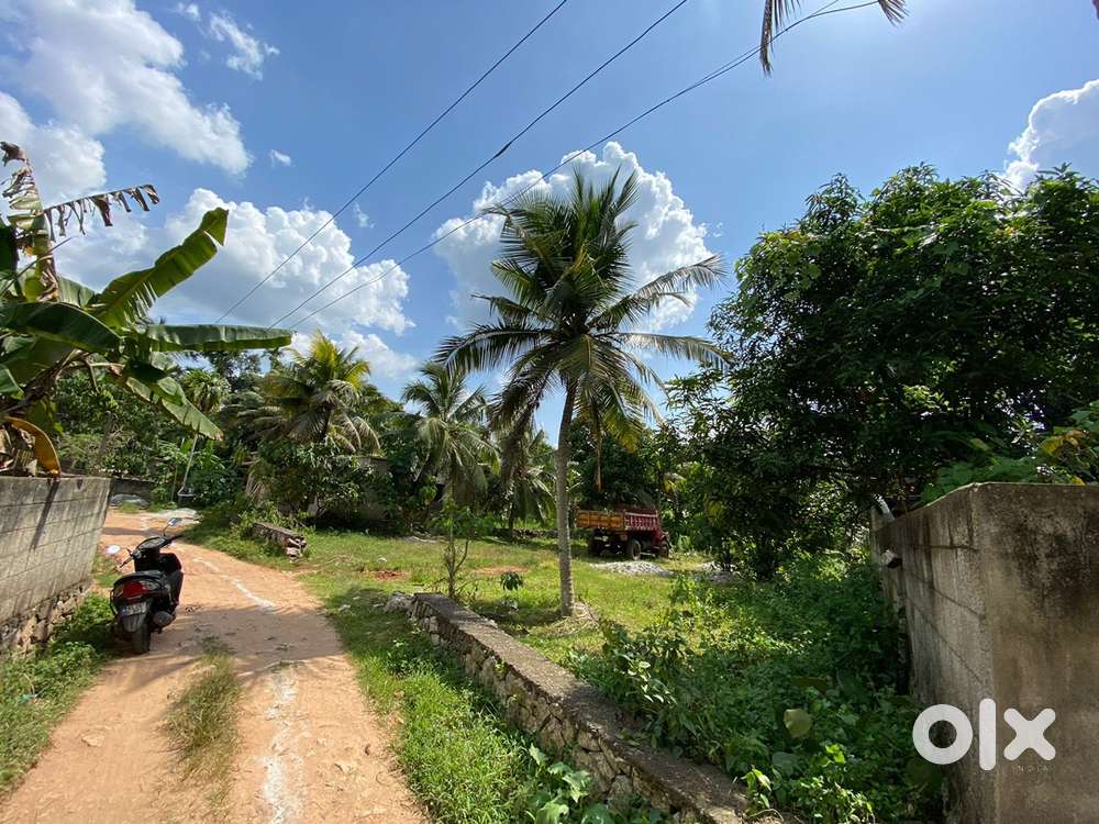 Plot for sale 13 cent(close to punalur)- Highway road