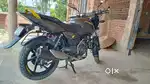 Bajaj Pulsar 150cc – First Owner, Excellent Condition, Low KM