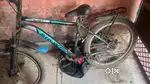 Bikwin cady new cycle