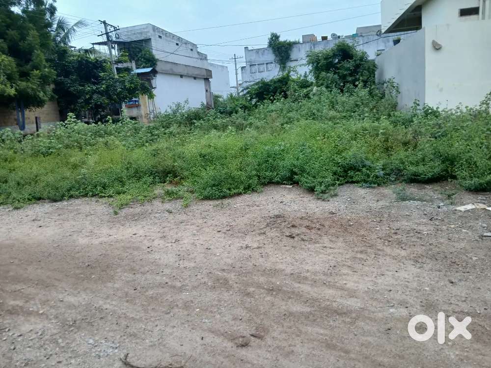 Plot for House