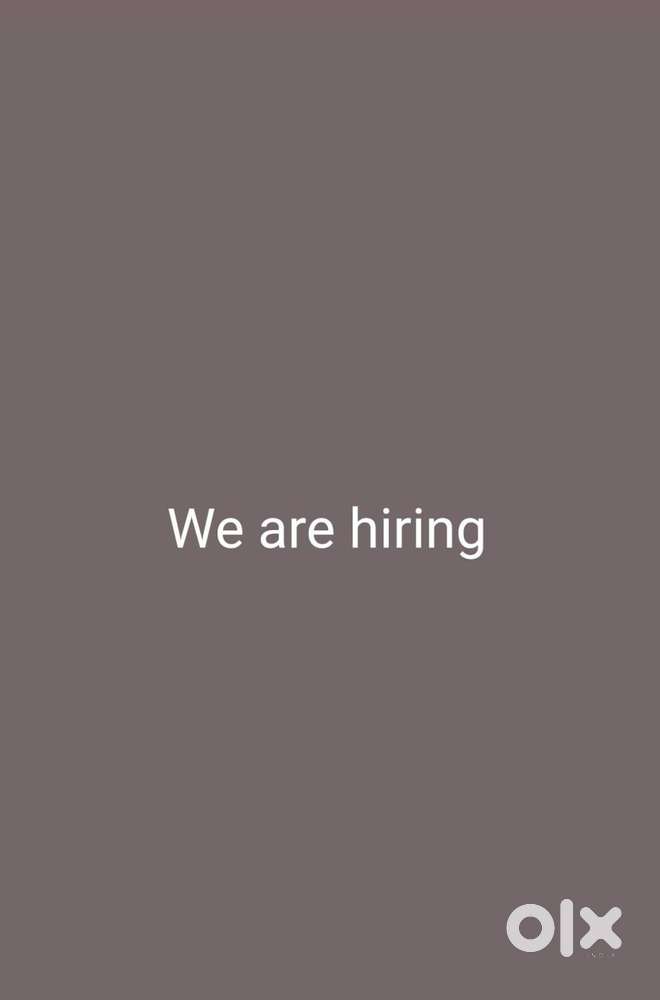 wanted delivery boy cum office staff