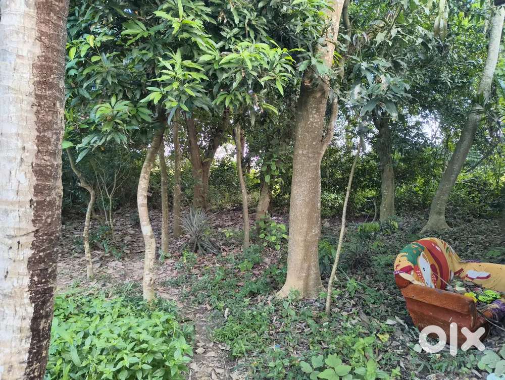 Hurry! I want to sale my property immediately at low price