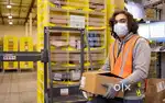 Looking freshers and experienced candidates for logistics warehouse