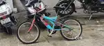 2 cycle for sale