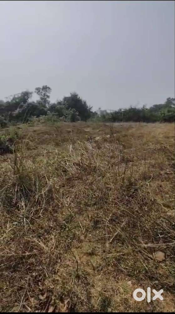 10 acre land for sale. Suitable for palm oil.