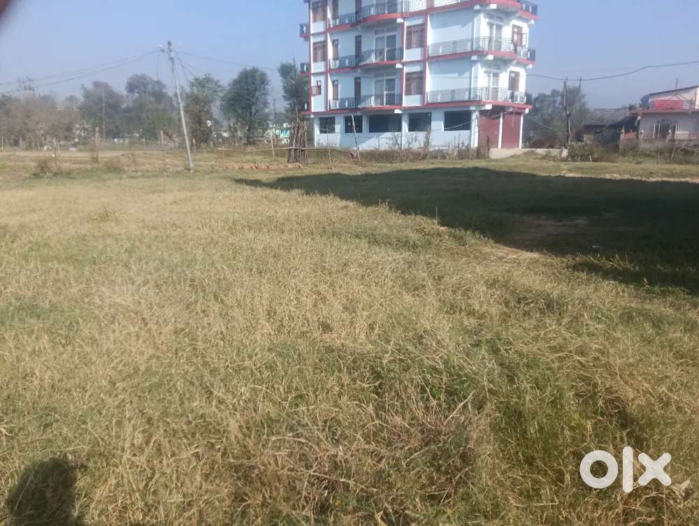 Plot for sale in dhangu colony