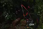 Polpo MTB red