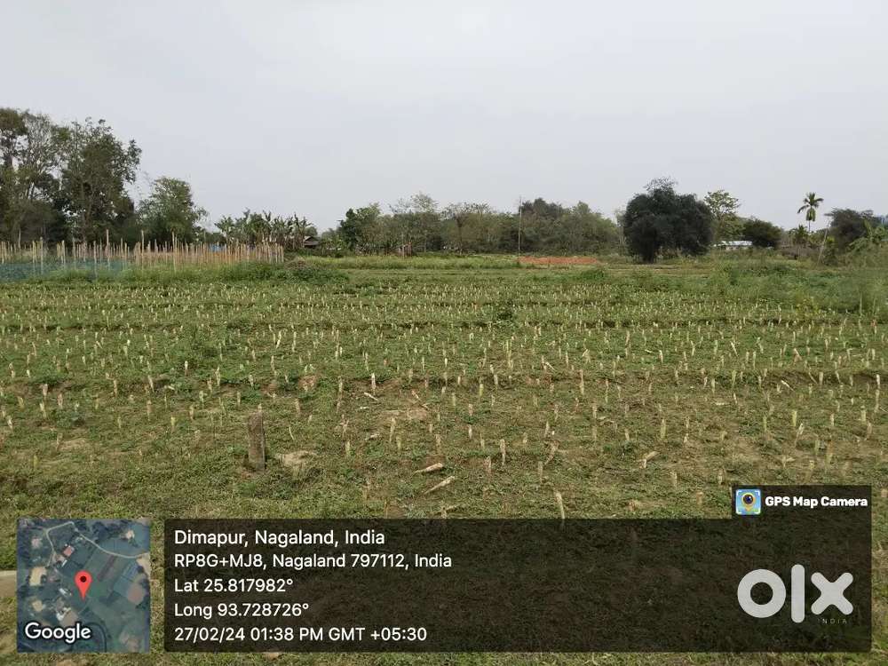 Land for sale, Location:Chumoukedima  'A' Village