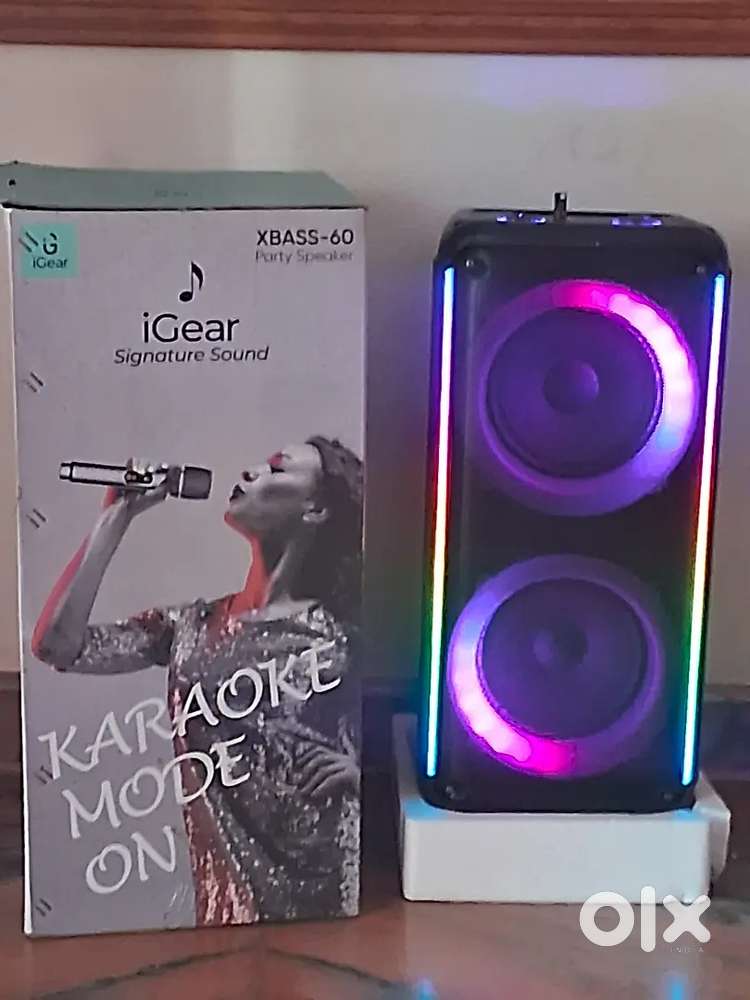 IGear XBASS 60 Party Speaker