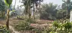 Freehold residential land area