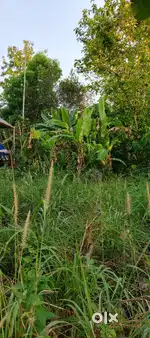 8 cent land near Irinjalakuda centre