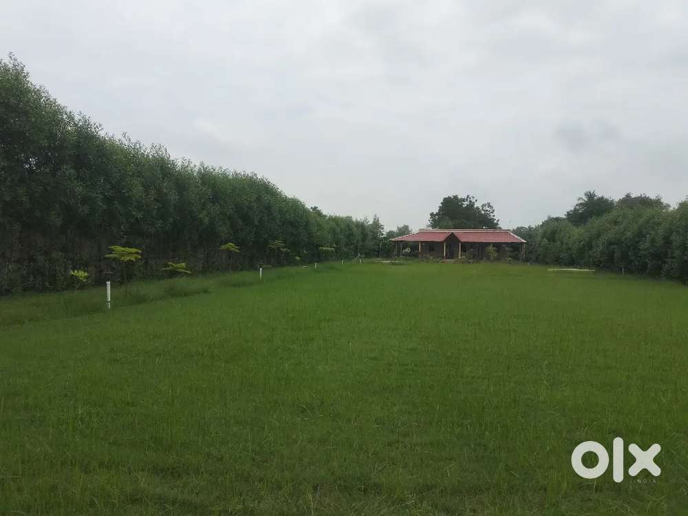 NA FarmHouse week & villa