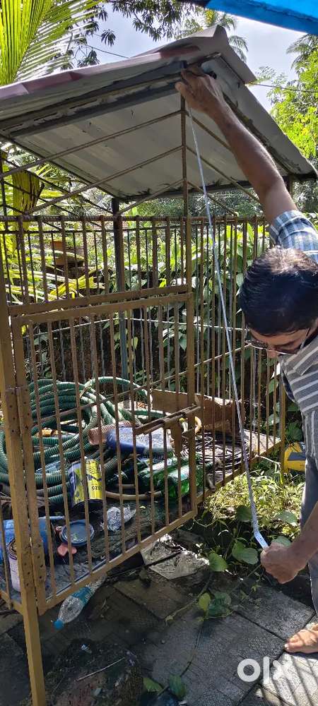 Dog cage Iron cage for dog