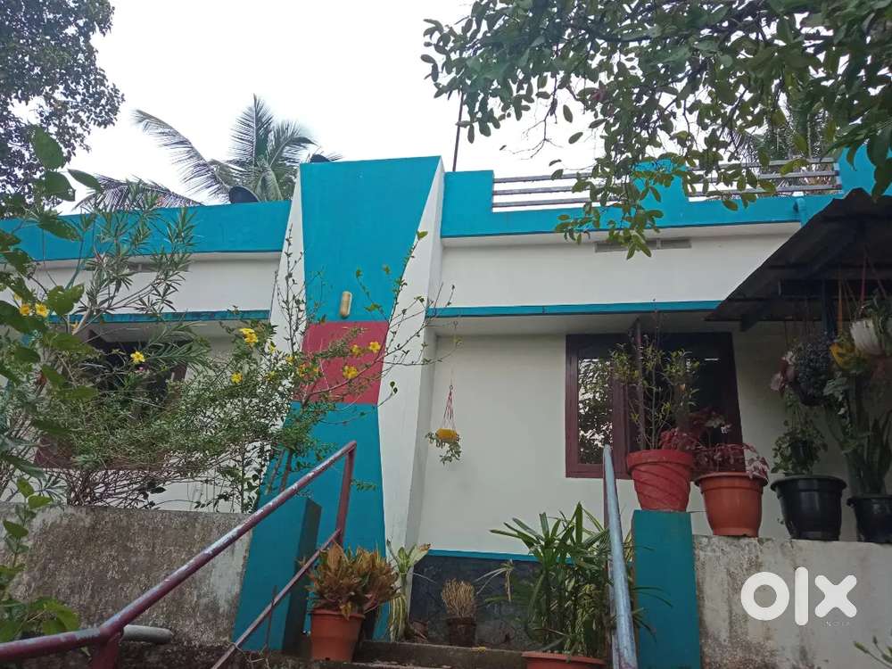 Price-22 lakh, place - kurangumala, kozhencherry