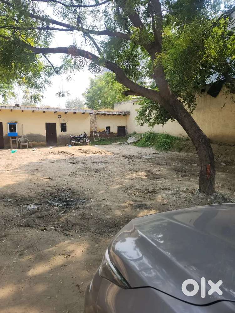 Plot for rent in available sec 143B  Noida