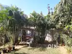 9 Metre Road Free Hold Old House just Plot Rate  main road to 50 metre
