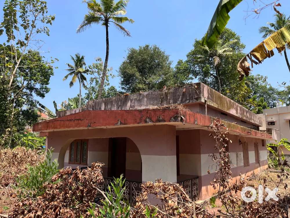 അഞ്ചാംലുമ്മൂട് നാന്തിരിക്കൽ ബസ് റൂട്ടിൽ(15 സെന്റ് )