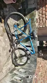 Brand New Cycle