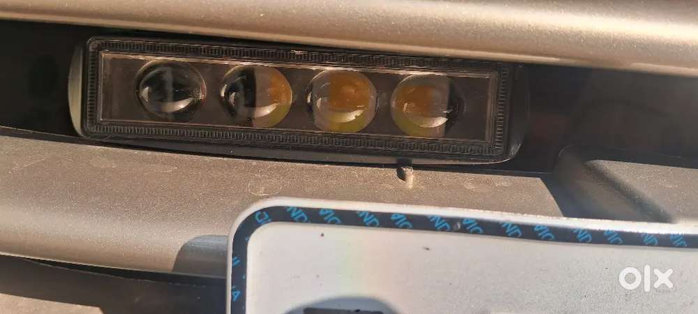 High quality foglamb