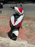 Joy Wolf E Bike